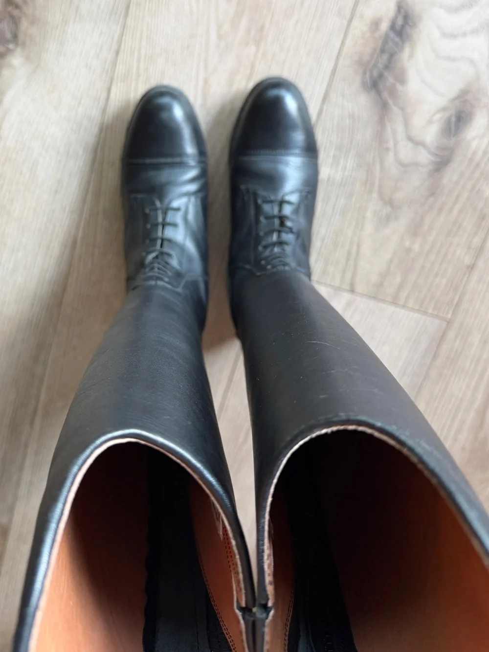 Mountain horse tall riding boots size 6